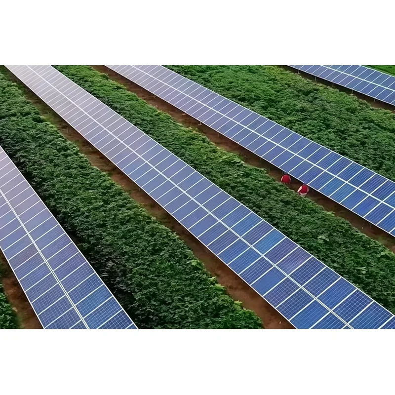 Kaip saulės energijos montavimo laikiklis palaiko patikimą saulės energijos montavimą?